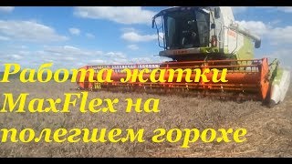 Жатка Claas MaxFlex на уборке полегшего гороха