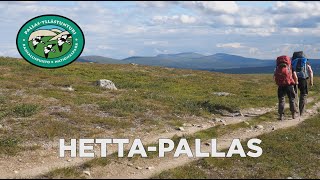 Hetta-Pallas vaellus -- Pallas - Yllästunturin kansallispuisto 2020