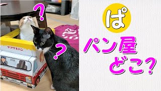 かわいい猫のパン屋さんだと思ったのに…#Shorts