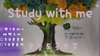 (24.12.04.수)오늘도공부중 4시간 스터디윗미 STUDY WITH ME |집중|장작,모닥불,귀뚜라미소리| ASMR| 밤10시~새벽2시