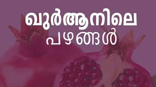 ഖുർആനിൽ പറഞ്ഞ പഴങ്ങൾ | ISLAMIKA JAALAKAM