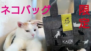 カルディ猫の日バッグ！世界ネコの日