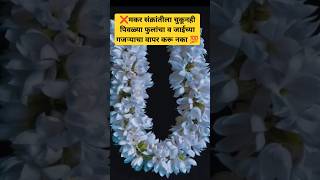 मकर संक्रांतीला या फुलांचा वापर चुकूनही करू नका..💯#motivation #मकरसंक्रांत #मकरसंक्रांति 2025#facts