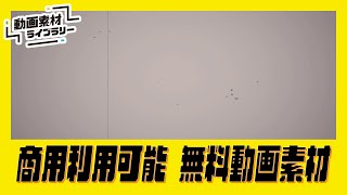 【無料動画素材/HD】フィルムノイズ