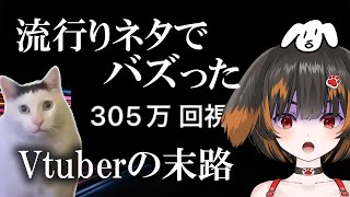 【流行りネタでバズった新人vtuberの末路】