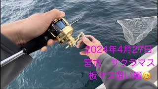 2024年4月27日　岩手県宮古　サクラマス　ジギング　板マスを狙う