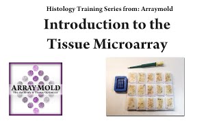How To Create A Tissue Microarray Block