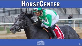 Kentucky Derby 2023 Bubbble Horses + Secret Oath vs. Clairiere on HorseCenter