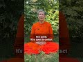 pariprashna having the right type of question mindfulness soulconnection meditationjourney