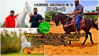 Horse series # 3 : Part-2 | மார்வாரி குதிரை வாங்கும் போது கண்டிப்பாக பார்க்க வேண்டியவை | Nukra |