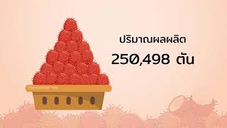 การปลูกเงาะ ตอนที่ 1: เงาะคืออะไร สำคัญไฉนกัน