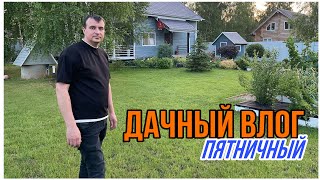 Дачный пятничный влог. Сережа вам всё покажет .