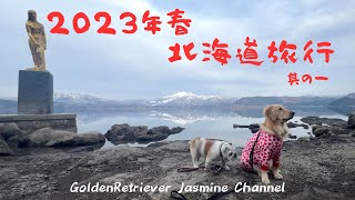 【ゴールデンレトリバー】ジャスミン、2023年春北海道旅行、其の一