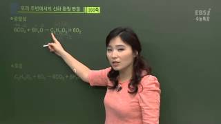 EBS[과학탐구]화학 - 광합성과 호흡의 산화 환원 반응 어떻게 되나요?