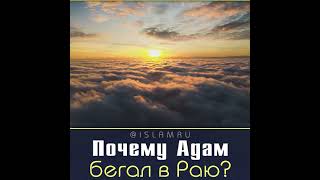 Почему праотец Адам (мир ему) бегал в Раю?