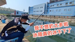 【福壽魚之章】權老闆一人包池，又喊說我不想釣太多啦，冰箱冰不下了！