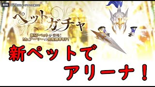 【セブンナイツ】新ペット、Mr.アーマーでアリーナ行ってみた！！