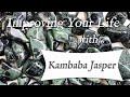 KAMBABA JASPER 💎 TOP 4 Crystal Wisdom Benefits of Kambaba Jasper Crystal | Stone of Reinvention