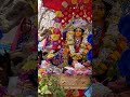 jay jay jagannath #shortsfeed #iskcon #kirtan #hare #sankirtan #shorts #srichaitanya #nimai