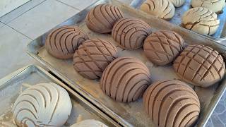 Conchas en horno de leña RECETA PASO A PASO ​🔥​🇲🇽