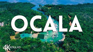 Top 10 Best Things to Do in Ocala, Florida 🇺🇸 | Ocala Travel Guide 2026 #4k
