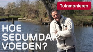 Waarmee voed je je sedumdak, plantenwand en binnenplanten. | Tuinmanieren