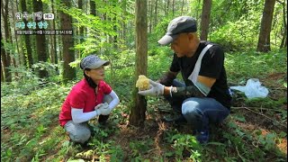 [예고] 한국기행 - 여름 산골 밥상