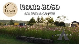 Route 3060 | วังน้ำเขียว | กางเต็นท์ ชมทุ่งดอกไม้ บรรยากาศโคตรดี