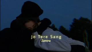 Jo Tere Sang (Slowed+Reverb) | Mustafa Zahid | Blood Money | Zamina