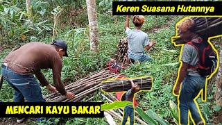 Beginilah Cara Kami Mengambil Kayu Bakar Dari Hutan !!! Meskipun Di Cari Yang Penting Berhasil