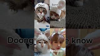 Lee know and his kids🐱🐱🐱 #leeknow #soonie #doongie #dori