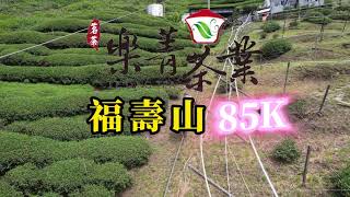 福壽山85K茶園