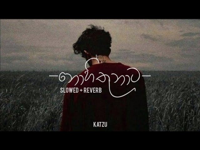 а а ња а а а а а џа Nohithunata Slowed Reverb Chords Chordify