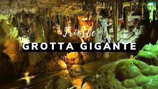 🔴Trieste, Grotta Gigante - The World’s Largest Tourist Cave