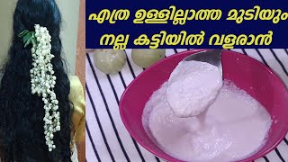 എത്ര ഉള്ളില്ലാത്ത മുടിയും വളർത്താം How to Grow Hair Faster In a Month