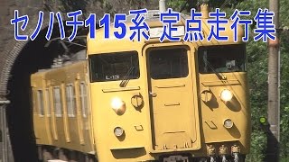 【ST走行動画】セノハチ定点 115系走行集