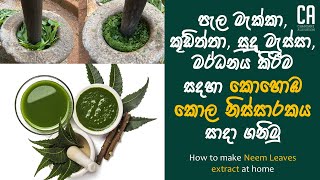 කොහොඹ කොල නිස්සාරකය සාදා ගනිමු | How to make Neem Leaves extract at home