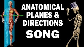 ANATOMICAL PLANES AND DIRECTIONS SONG