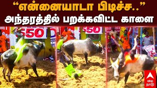 Alanganallur Jallikattu 2023 Highlights | ”என்னையாடா பிடிச்ச..”அந்தரத்தில் பறக்கவிட்ட காளை | Madurai