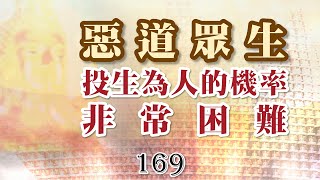 169巴利藏佛陀法語錄-惡道眾生投生為人機率非常困難，永在惡道輪迴