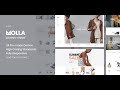 [Molla Shopify] - Install and import demo