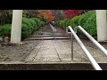 2016 京都　宗忠神社　kyoto munetada jinja shrine