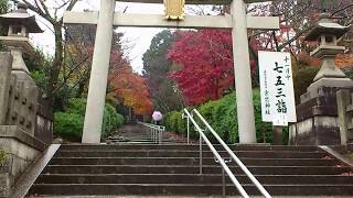 2016 京都　宗忠神社　Kyoto Munetada-jinja Shrine