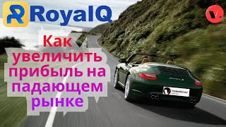 Royal Q крипто-робот / Как увеличить прибыль на падающем рынке / Как выводить прибыль