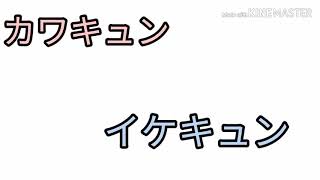 カワキュンイケキュン真剣勝負