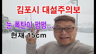 2025눈이 엄청나게 내린다. 눈 폭탄...