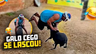 GALO CEGO FOI DERRUBADO PELO CARNEIRO CHICO 🤣🤣 | RESENHAS DO GALO CEGO