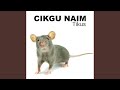 Tikus