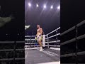 jake paul win and knock out your opponent boxing knockdown entertainment nguyeduyus