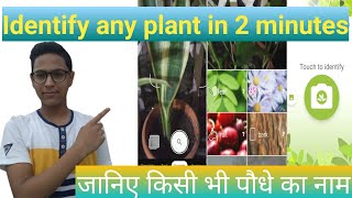 How to identify any plants with Google lens,plant identify app || किसी भी पौधे की पहचान कैसे करें ??